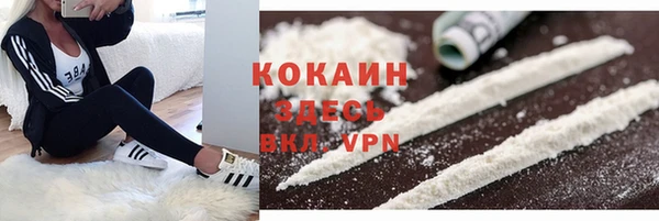 дживик Дмитровск