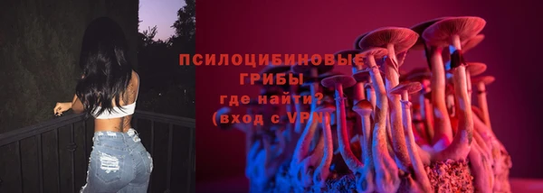 прущий лед Елизово