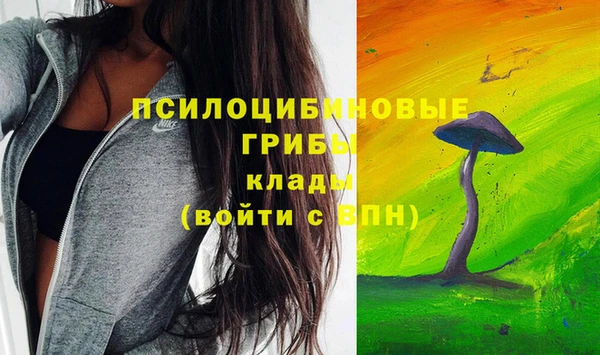 дживик Дмитровск