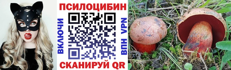 Псилоцибиновые грибы Cubensis  Майкоп 
